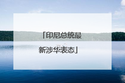 印尼总统最新涉华表态
