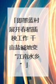 即墨蓝村展开春稻插秧工作 千亩盐碱地变“江南水乡”