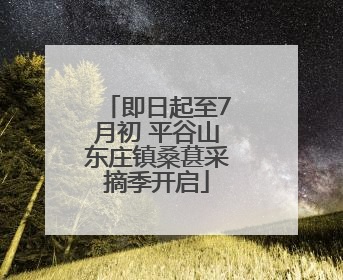 即日起至7月初 平谷山东庄镇桑葚采摘季开启