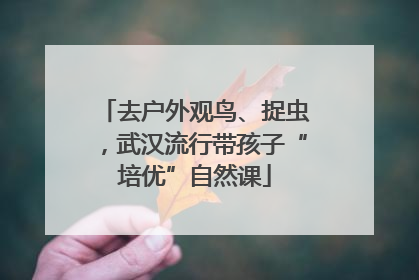 去户外观鸟、捉虫，武汉流行带孩子“培优”自然课