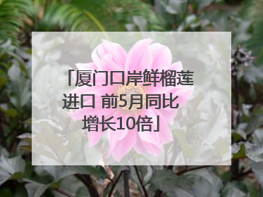 厦门口岸鲜榴莲进口 前5月同比增长10倍