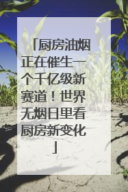 厨房油烟正在催生一个千亿级新赛道！世界无烟日里看厨房新变化