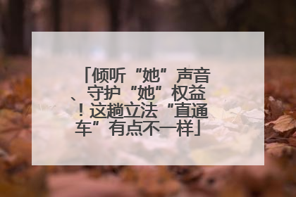 倾听“她”声音、守护“她”权益！这趟立法“直通车”有点不一样