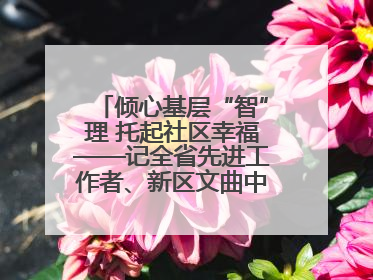 倾心基层“智”理 托起社区幸福——记全省先进工作者、新区文曲中心社区党委书记董世弘