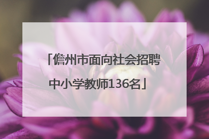 儋州市面向社会招聘中小学教师136名