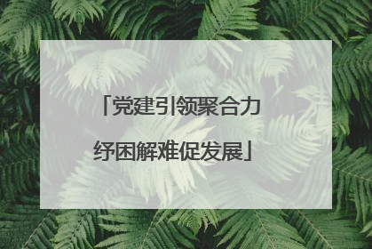 党建引领聚合力 纾困解难促发展