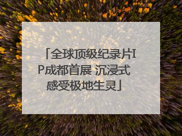 全球顶级纪录片IP成都首展 沉浸式感受极地生灵