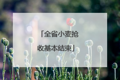 全省小麦抢收基本结束