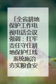 全省耕地保护工作电视电话会议强调：扛牢责任守住耕地保护红线 系统施治夯实粮食安全根基 王宁作出批示 王予波出席并讲话