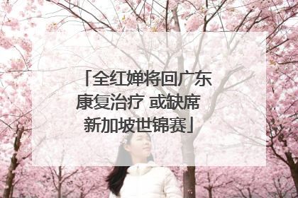 全红婵将回广东康复治疗 或缺席新加坡世锦赛