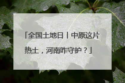 全国土地日丨中原这片热土，河南咋守护？