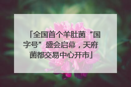 全国首个羊肚菌“国字号”盛会启幕，天府菌都交易中心开市