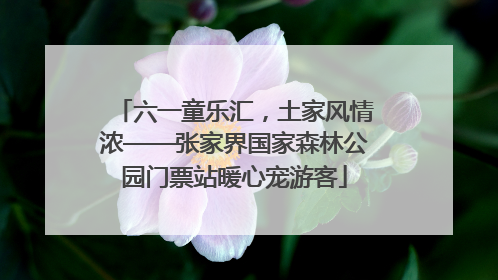 六一童乐汇，土家风情浓——张家界国家森林公园门票站暖心宠游客
