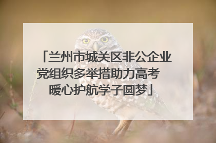 兰州市城关区非公企业党组织多举措助力高考 暖心护航学子圆梦