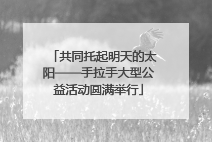共同托起明天的太阳——手拉手大型公益活动圆满举行
