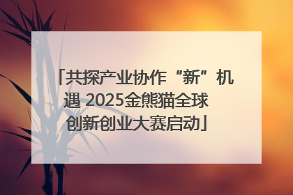 共探产业协作“新”机遇 2025金熊猫全球创新创业大赛启动