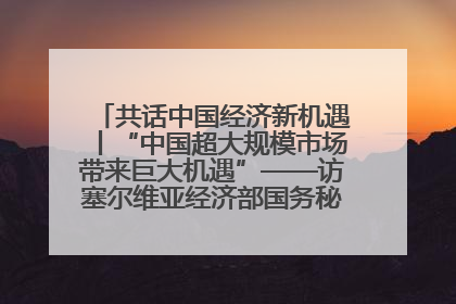 共话中国经济新机遇丨“中国超大规模市场带来巨大机遇”——访塞尔维亚经济部国务秘书尼科利奇