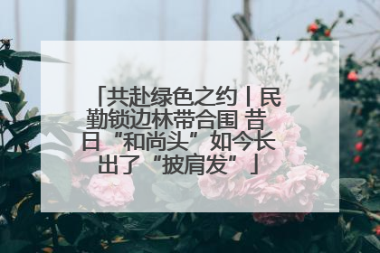 共赴绿色之约丨民勤锁边林带合围 昔日“和尚头”如今长出了“披肩发”
