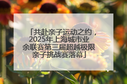 共赴亲子运动之约，2025年上海城市业余联赛第三届超越极限亲子挑战赛落幕