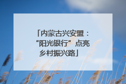 内蒙古兴安盟：“阳光银行”点亮乡村振兴路