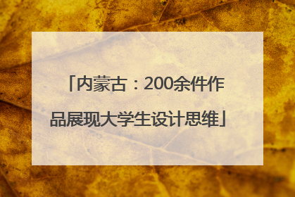 内蒙古：200余件作品展现大学生设计思维