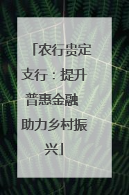 农行贵定支行：提升普惠金融 助力乡村振兴