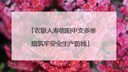 农银人寿信阳中支多举措筑牢安全生产防线