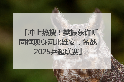 冲上热搜！樊振东许昕同框现身河北雄安，备战2025乒超联赛