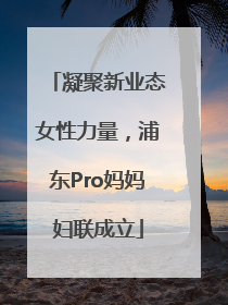 凝聚新业态女性力量，浦东Pro妈妈妇联成立