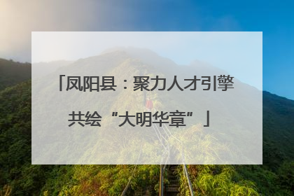 凤阳县：聚力人才引擎 共绘“大明华章”