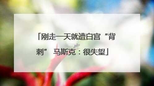 刚走一天就遭白宫“背刺” 马斯克：很失望
