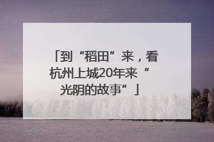 到“稻田”来，看杭州上城20年来“光阴的故事”
