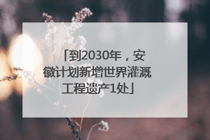 到2030年，安徽计划新增世界灌溉工程遗产1处