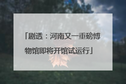 剧透：河南又一重磅博物馆即将开馆试运行