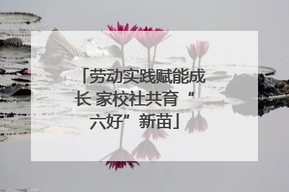 劳动实践赋能成长 家校社共育“六好”新苗