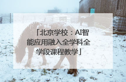 北京学校：AI智能应用融入全学科全学段课程教学