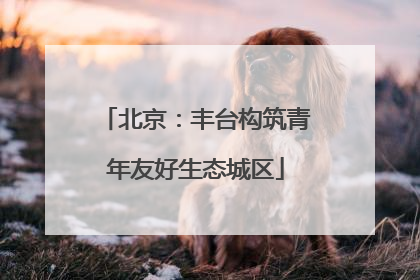 北京：丰台构筑青年友好生态城区