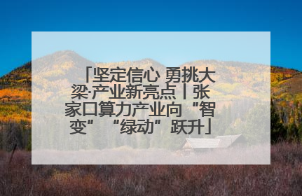 坚定信心 勇挑大梁·产业新亮点丨张家口算力产业向“智变”“绿动”跃升