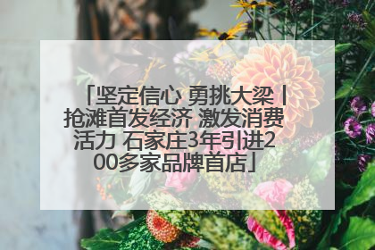 坚定信心 勇挑大梁丨抢滩首发经济 激发消费活力 石家庄3年引进200多家品牌首店