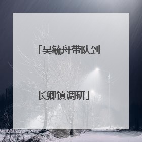 吴毓舟带队到长卿镇调研