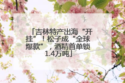吉林特产出海“开挂”！松子成“全球爆款”，酒精首单锁1.4万吨
