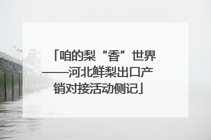 咱的梨“香”世界——河北鲜梨出口产销对接活动侧记