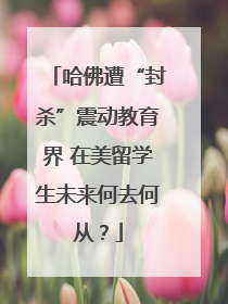 哈佛遭“封杀”震动教育界 在美留学生未来何去何从？