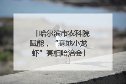 哈尔滨市农科院赋能，“寒地小龙虾”亮相哈洽会