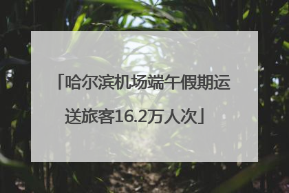 哈尔滨机场端午假期运送旅客16.2万人次