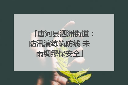 唐河县泗洲街道：防汛演练筑防线 未雨绸缪保安全
