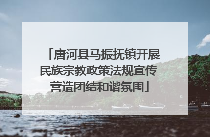 唐河县马振抚镇开展民族宗教政策法规宣传 营造团结和谐氛围