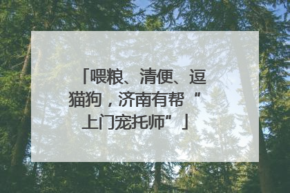 喂粮、清便、逗猫狗，济南有帮“上门宠托师”
