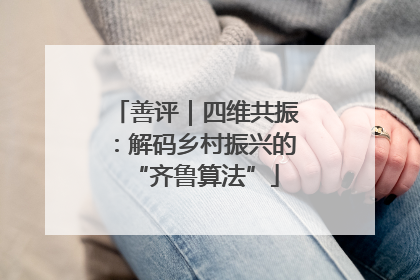 善评｜四维共振：解码乡村振兴的“齐鲁算法”
