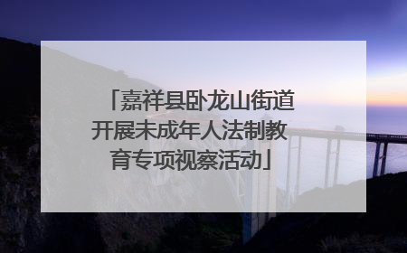 嘉祥县卧龙山街道开展未成年人法制教育专项视察活动